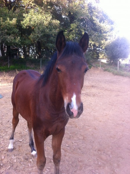 Photo de profil de marisab