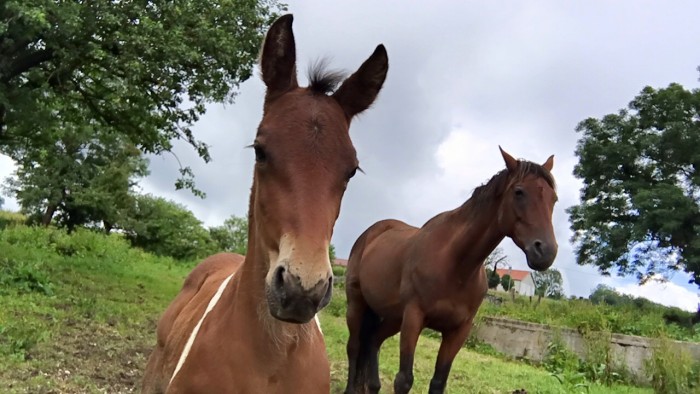 Photo de profil de marticouli