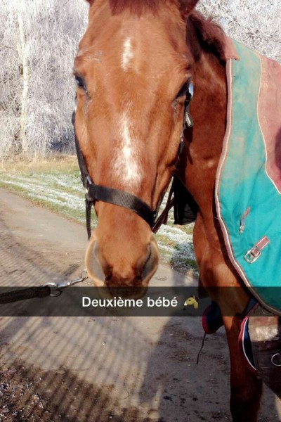 Photo de profil de maryjnm