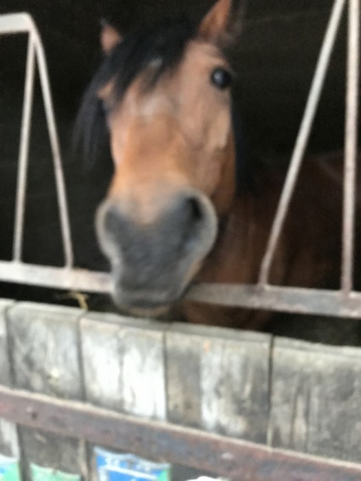 Photo de profil de mathildix