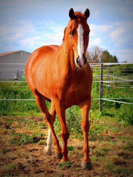 Photo de profil de mathilot