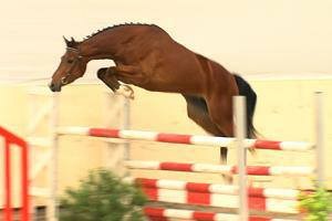Photo de profil de maud.phi