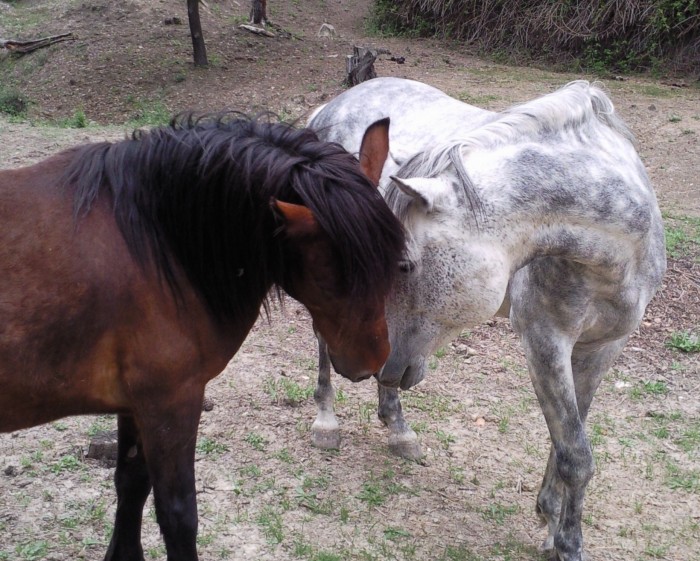 Photo de profil de maumau30