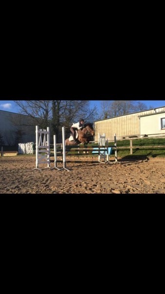 Photo de profil de maxencecvl