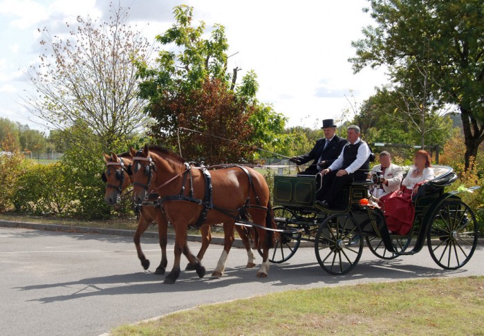 Photo de profil de mboa49530