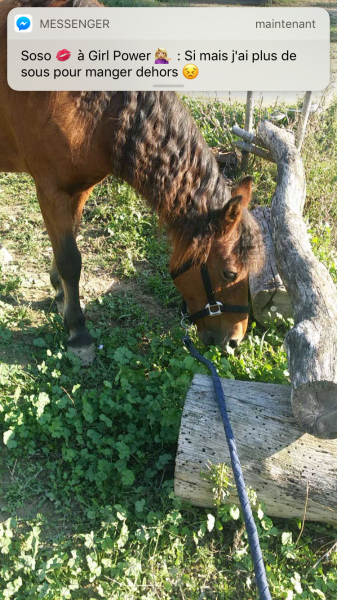 Photo de profil de meebmd