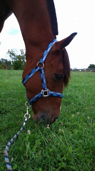 Photo de profil de melanie53