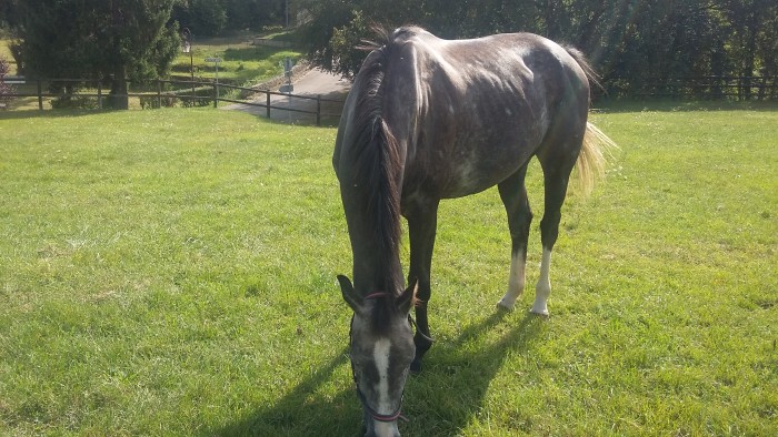 Photo de profil de melie52