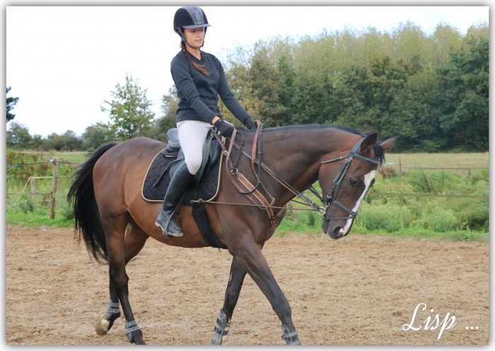 Photo de profil de m.eline