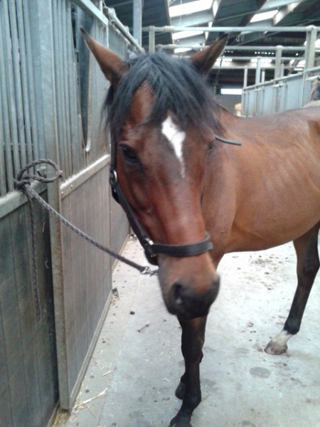 Photo de profil de melou0619