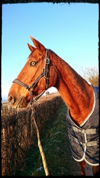 Photo de profil de melou69