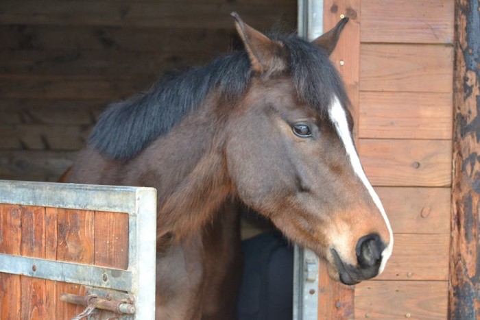 Photo de profil de mhenin