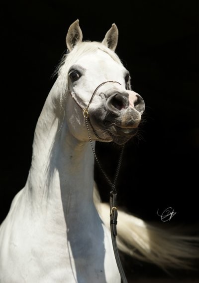 Photo de profil de michel.c