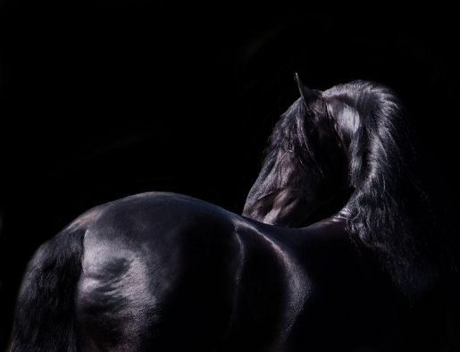 Photo de profil de milan71