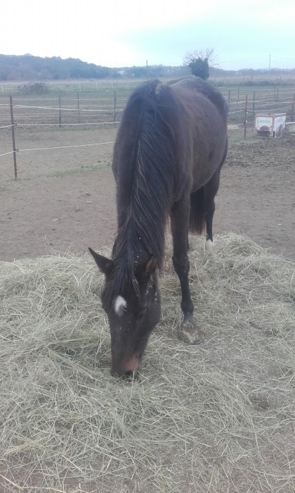 Photo de profil de mimi30560