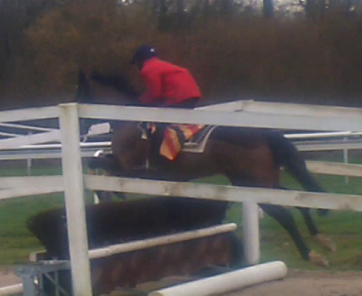 Photo de profil de miskary