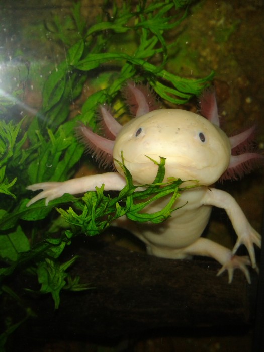 Photo de profil de missfirsty84