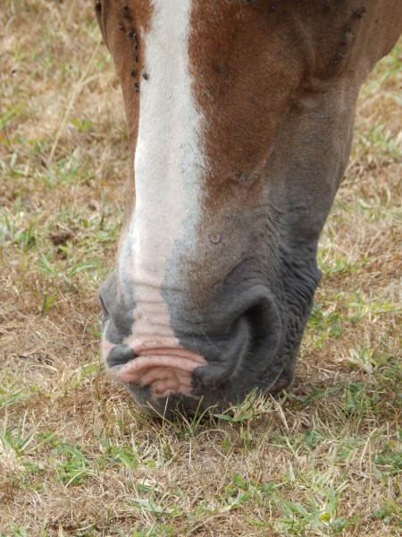 Photo de profil de miticlisis