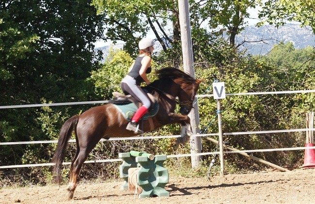 Photo de profil de momo43