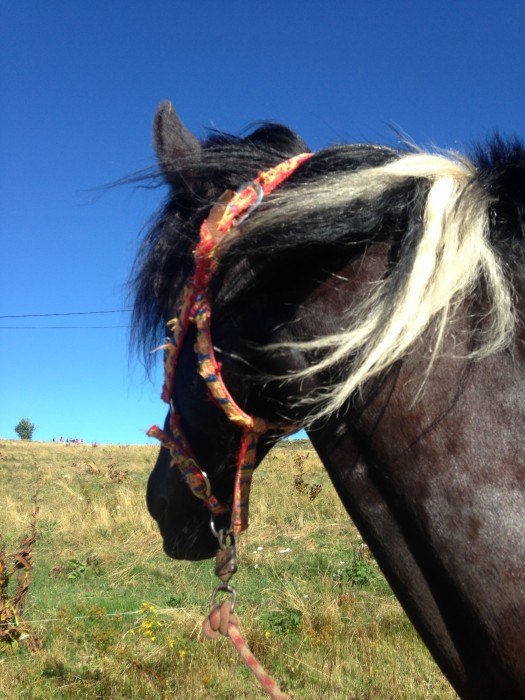Photo de profil de monponeyargent