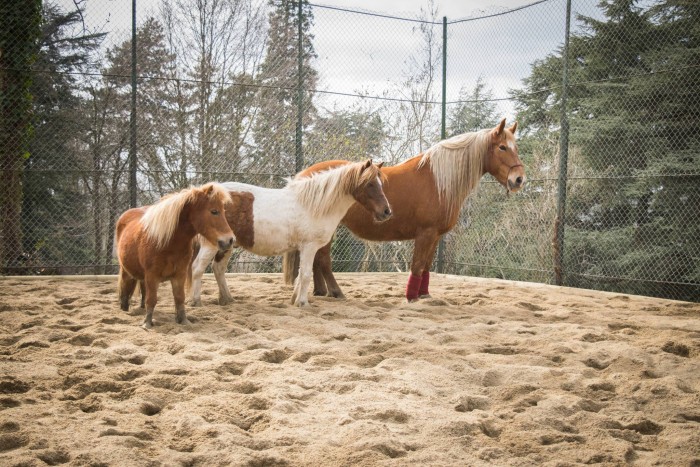 Photo de profil de mosquito42