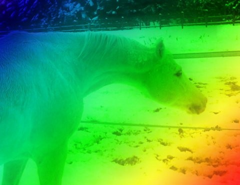 Photo de profil de mousticdelvange