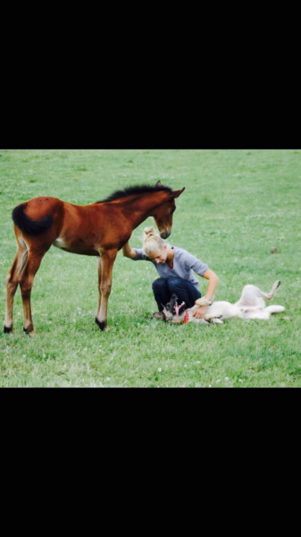 Photo de profil de m_pastorino