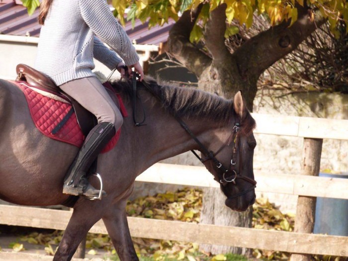 Photo de profil de mwariew