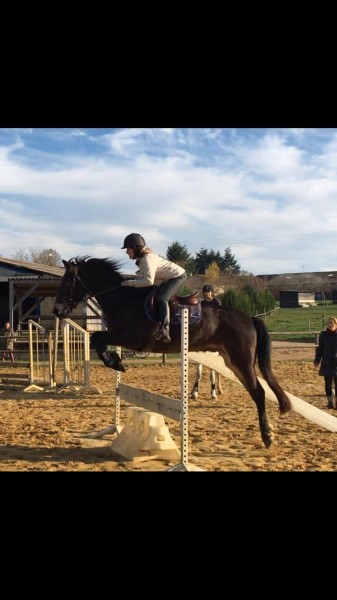 Photo de profil de n0ushy