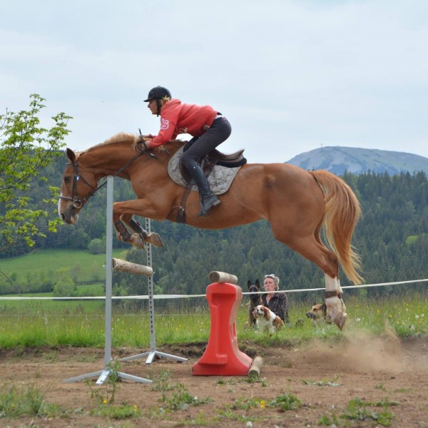 Photo de profil de nahnah