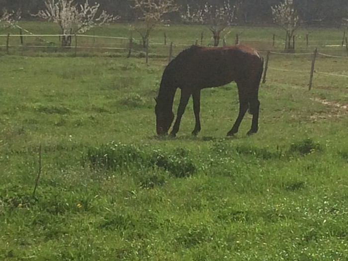 Photo de profil de nanou2603