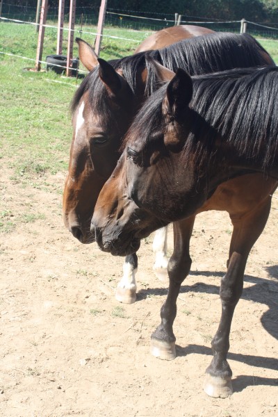 Photo de profil de nanou86190