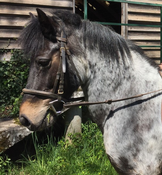 Photo de profil de nathalie_c