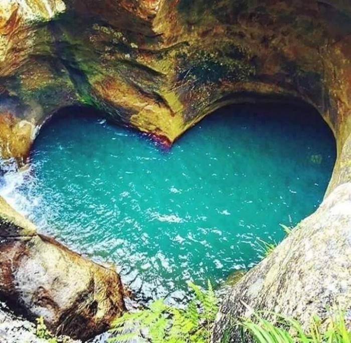 Photo de profil de nathirtlespetit