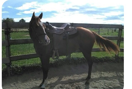 Photo de profil de nathpaint