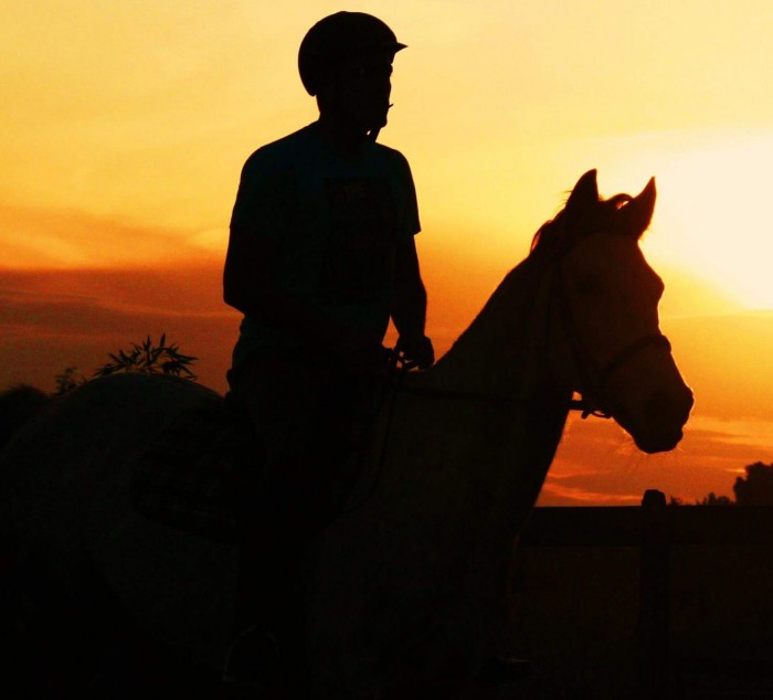 Photo de profil de nicolas64