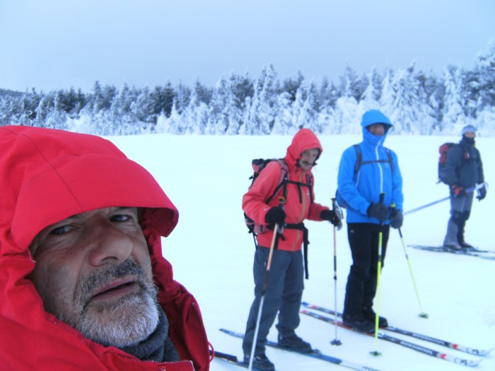 Photo de profil de nicoredine