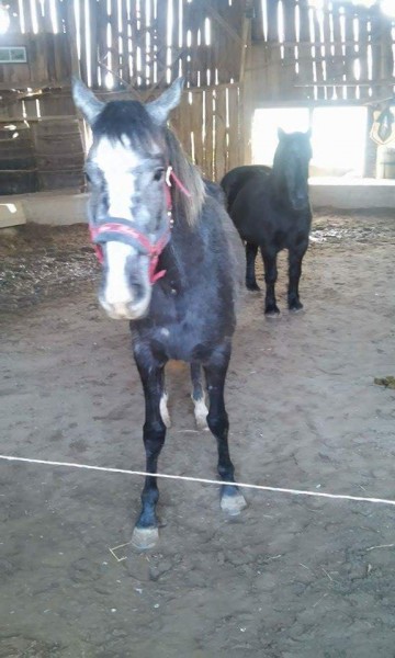 Photo de profil de nina315