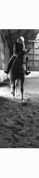 Photo de profil de ninn_baladin