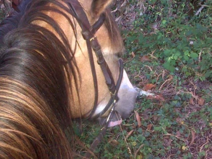 Photo de profil de noelliehuet