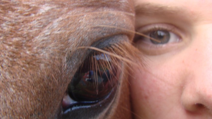 Photo de profil de noisette.my