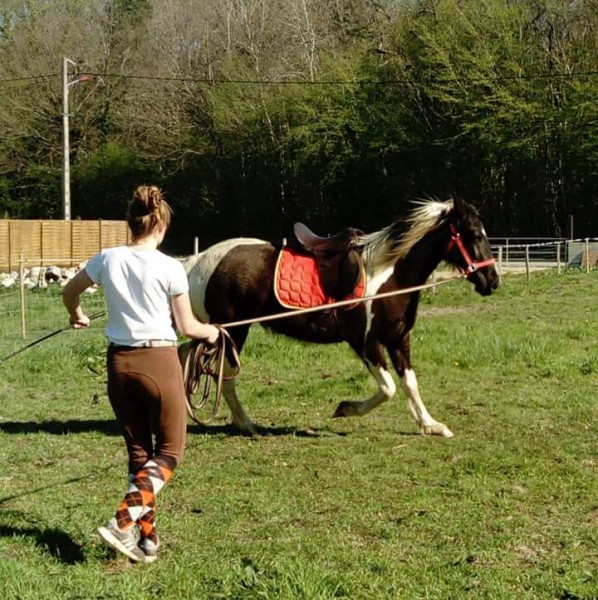 Photo de profil de nokota58