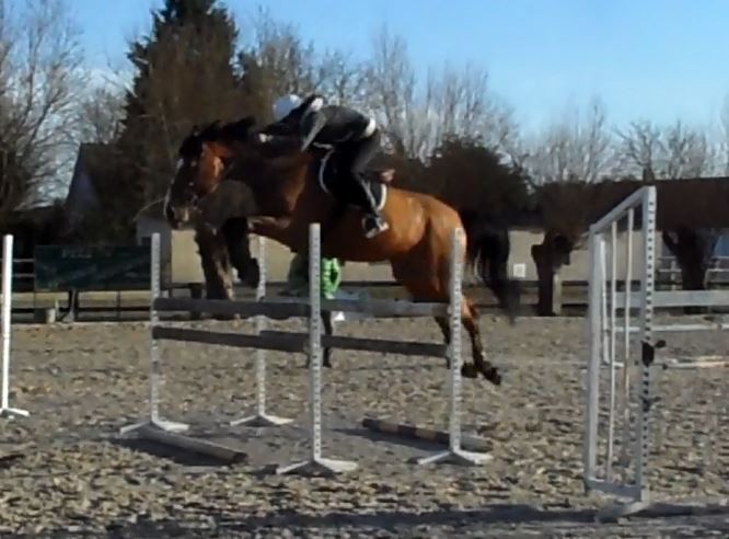 Photo de profil de noradeligni