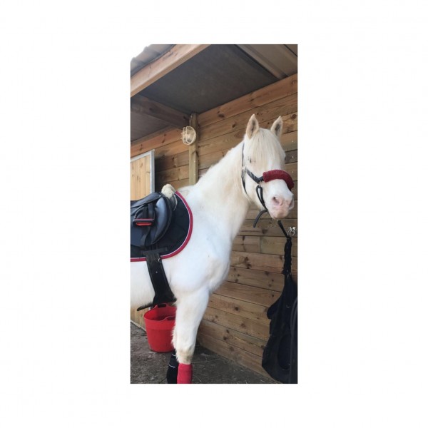 Photo de profil de nourdourika20