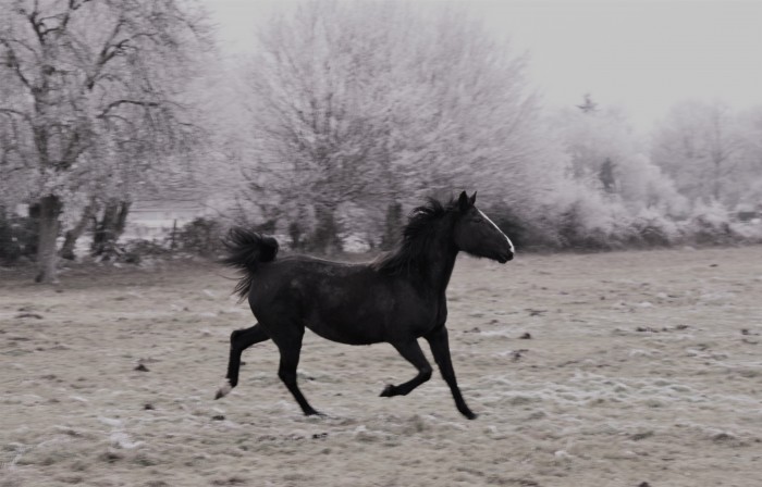Photo de profil de nyouknyouk