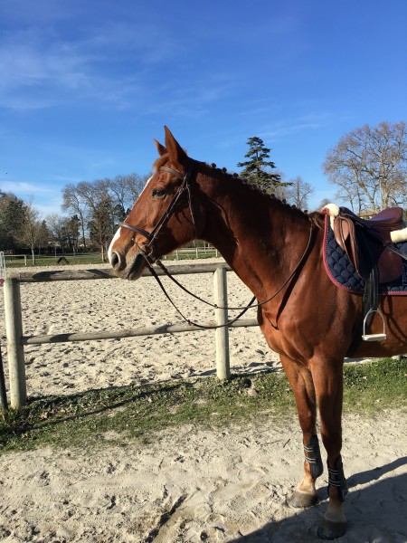 Photo de profil de odyssee0706