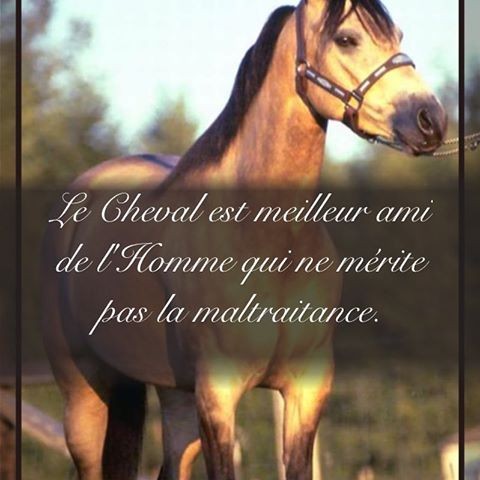 Photo de profil de oimoi