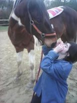 Photo de profil de okinawano