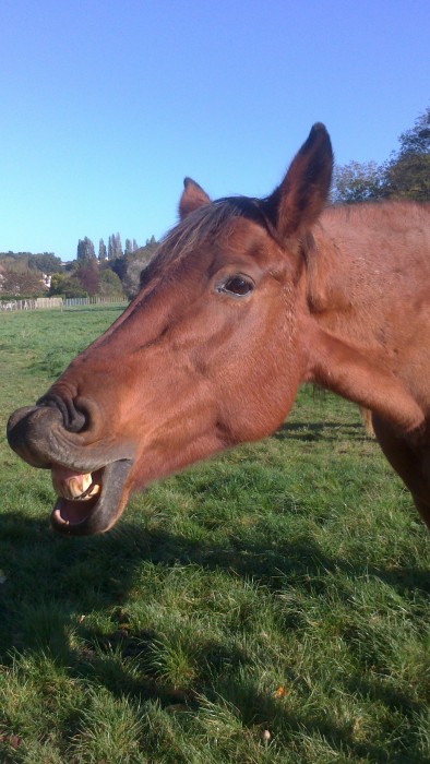 Photo de profil de olstar