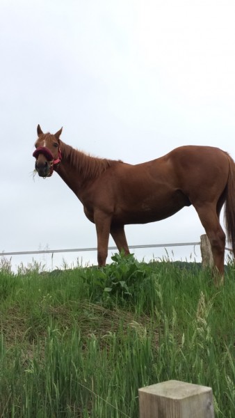 Photo de profil de onecha